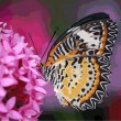 /album/overigen/butterfly-jpg/