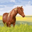 /album/overigen/horse-jpg/