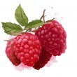 /album/overigen/raspberries-jpg/